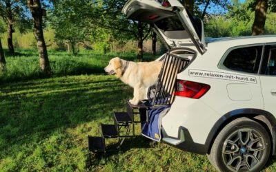 Hundetreppe