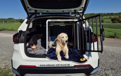 Hundekäfig