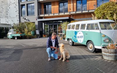 Hotel Papa Rhein, Rheinland-Pfalz