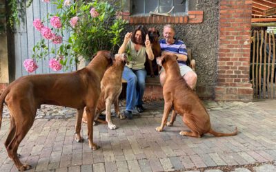 Dietmar Wischmeyer mit seinem Ridgeback-Rudel