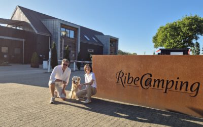Ribe Camping, Südjütland